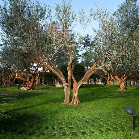 Aquilamaior Bed & Breakfast