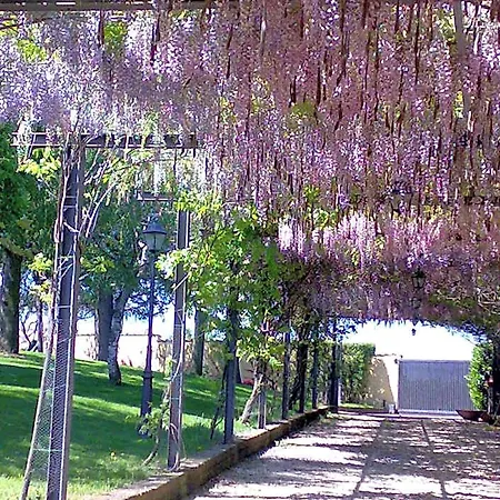 Aquilamaior