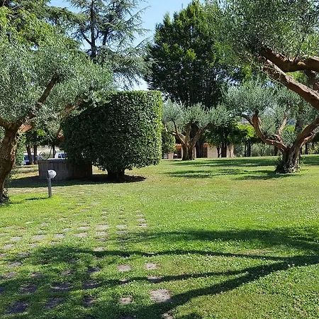 Aquilamaior Tragliata
