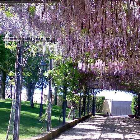 Aquilamaior *